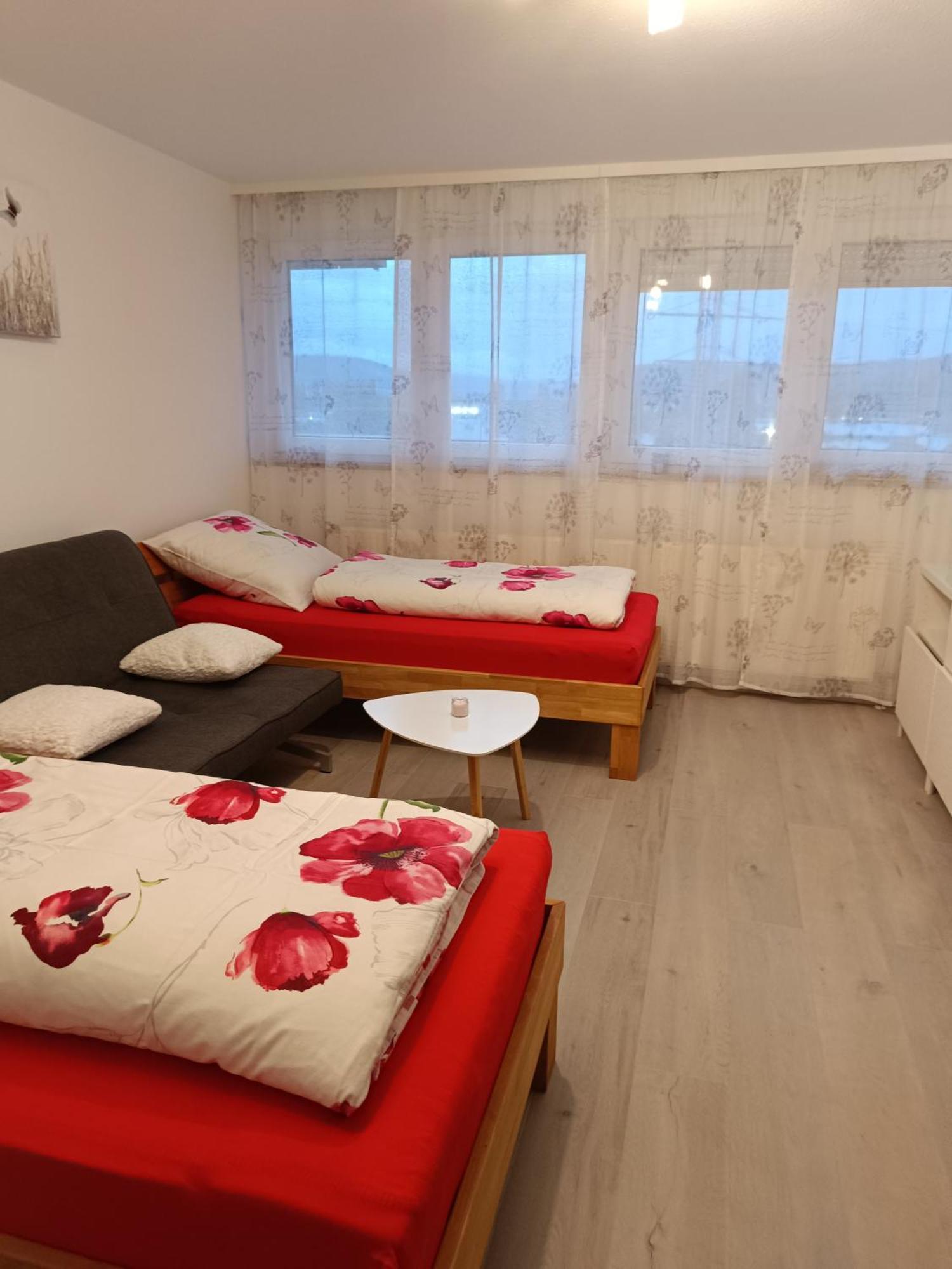 Apartment Lahr 50 Buitenkant foto